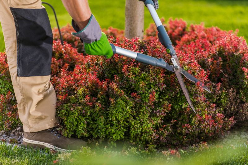 Shrub Service