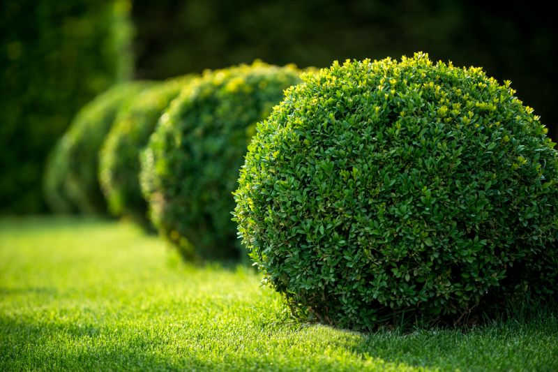 Bush Relocation in Ventura County, CA