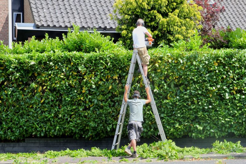 Hedge Pruning