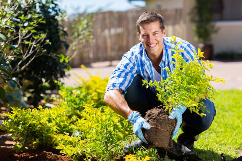 Contact About Shrub Service